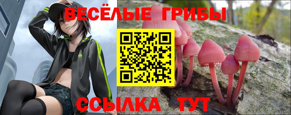 Псилоцибиновые грибы мицелий Донской